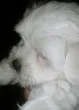 Slika 3