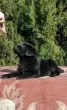 Slika 4
