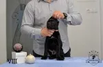 Slika 6