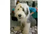 Slika 1