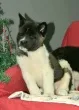 Slika 3