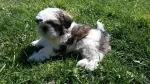 Slika 3