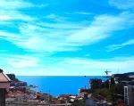 Slika 1