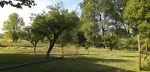 Slika 6