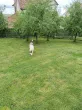 Slika 3