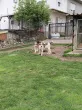 Slika 6