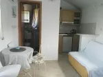 Slika 1