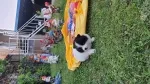Slika 1