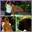 Slika 3