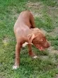 Slika 5