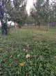 Slika 3
