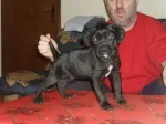 Slika 2