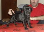 Slika 3