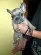 Slika 6