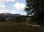 Slika 2