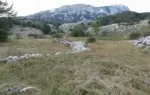 Slika 4