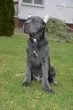 Slika 1