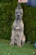Slika 2