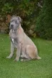 Slika 3