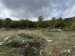 Slika 3