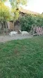 Slika 4