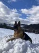 Slika 1