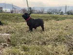 Slika 2