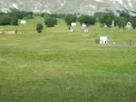Slika 1