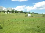 Slika 3