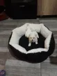 Slika 1