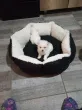 Slika 2