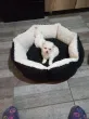 Slika 3
