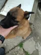 Slika 6