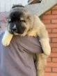 Slika 3