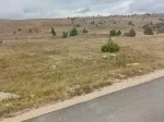 Slika 3