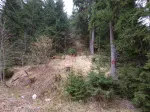 Slika 5