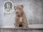 Slika 1