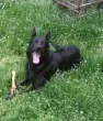 Slika 3