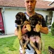 Slika 2