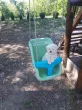 Slika 1