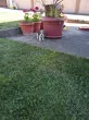 Slika 1