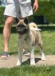 Slika 2