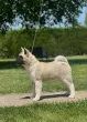 Slika 3