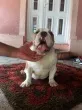 Slika 2