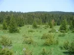 Slika 2