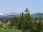 Slika 3