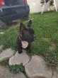 Slika 1