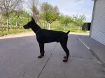 Slika 3