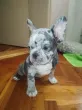 Slika 1