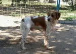 Slika 2